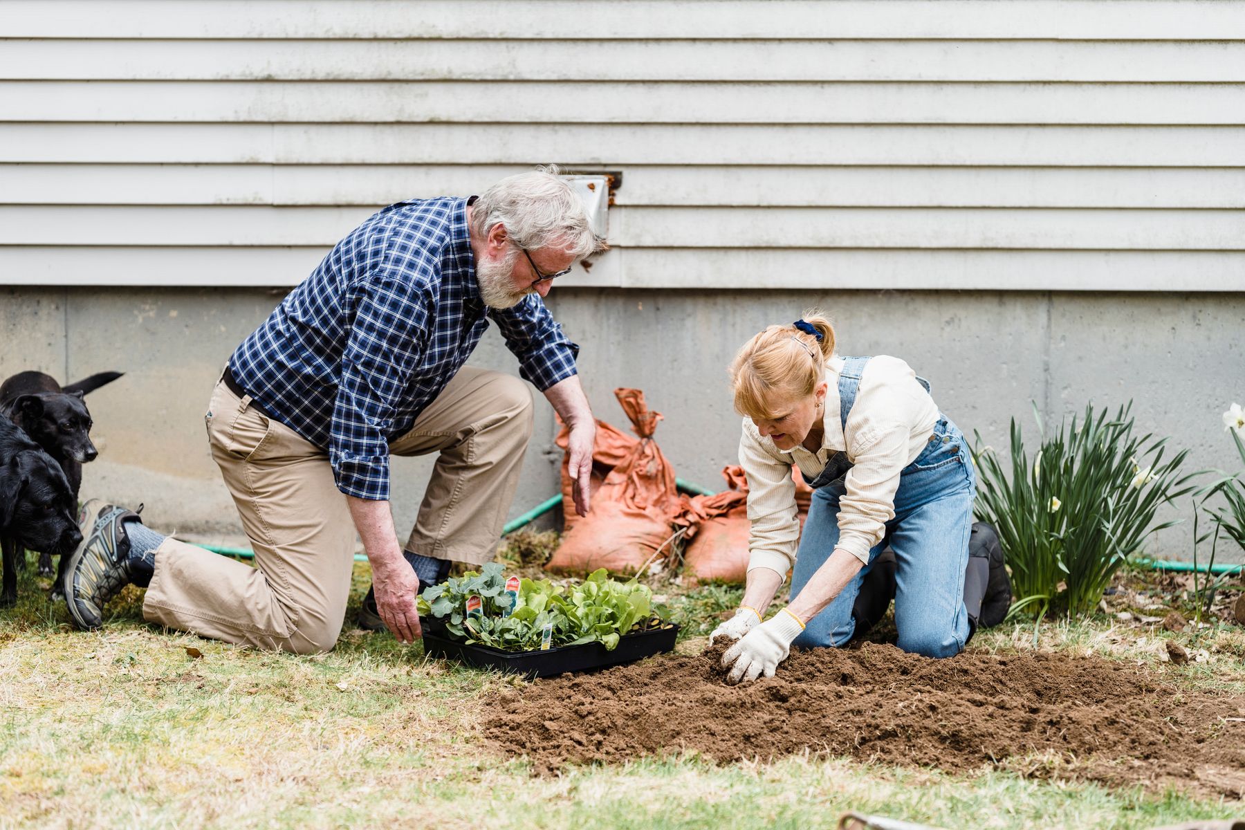 A couple planting in their garden together